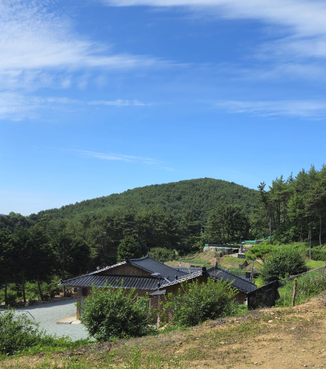 아담한 보타암 사찰전경