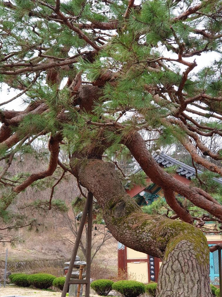 송불암 전각안내해드립니다.  우리절 송불암을 사랑합니다.
