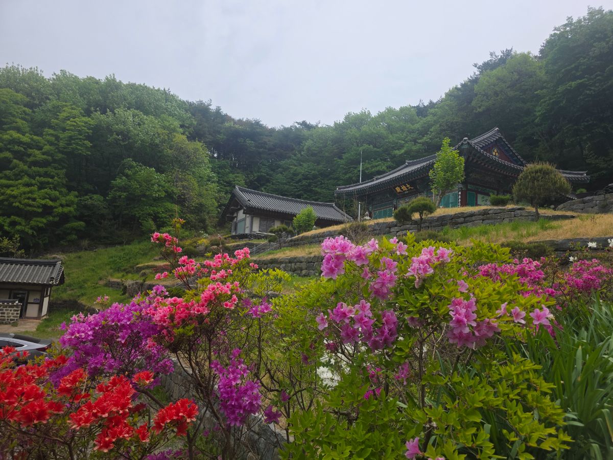 화사한 송불암자